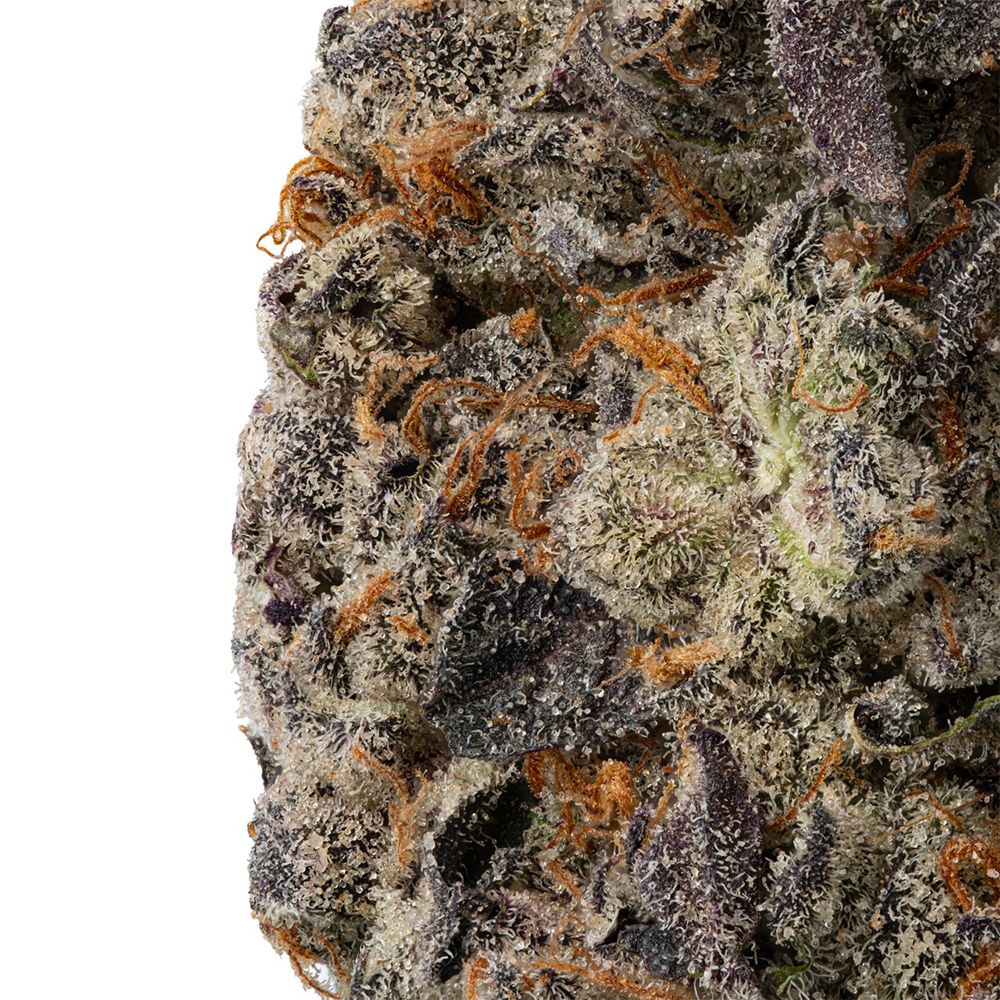 WNC CBD High THCA Indoor Living Soil Flower | 3.5g